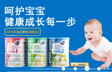 派諾奶粉網(wǎng)站設(shè)計(jì)案例