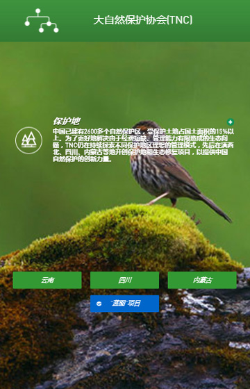 大自然保護協會網站案例圖片2