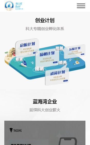 藍海灣孵化港網站案例圖片3