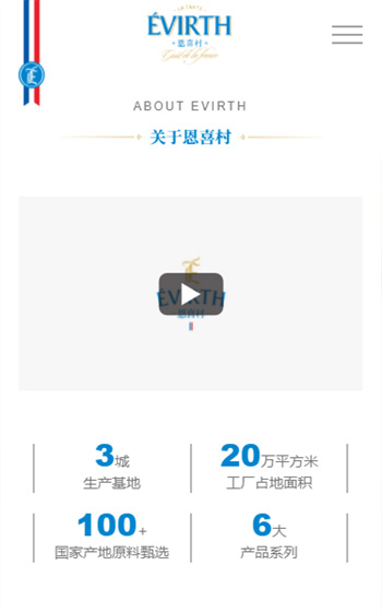 恩喜村網站案例圖片1