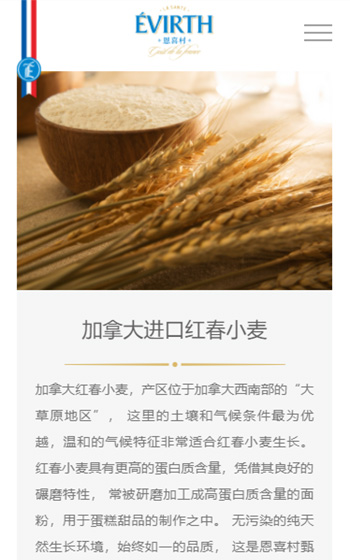 恩喜村網站案例圖片3