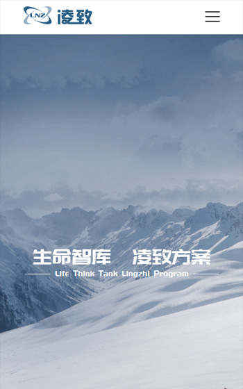 凌致制冷網站案例圖片0