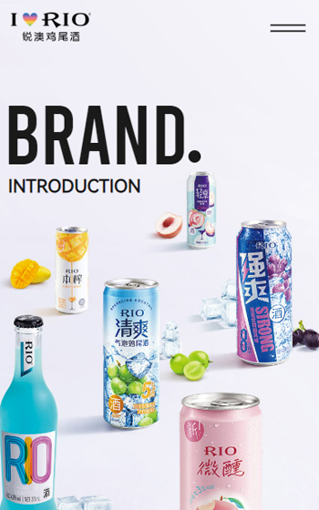 上海巴克斯酒業有限公司（銳澳）網站案例圖片0