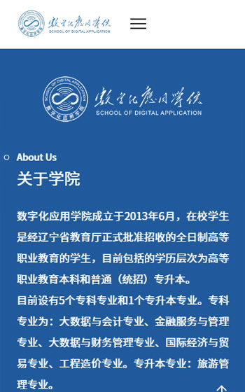 大連財經學院網站案例圖片1