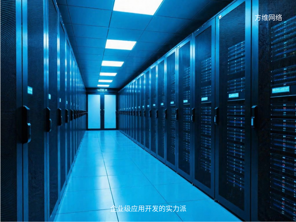 企業(yè)級應(yīng)用開發(fā)的實力派