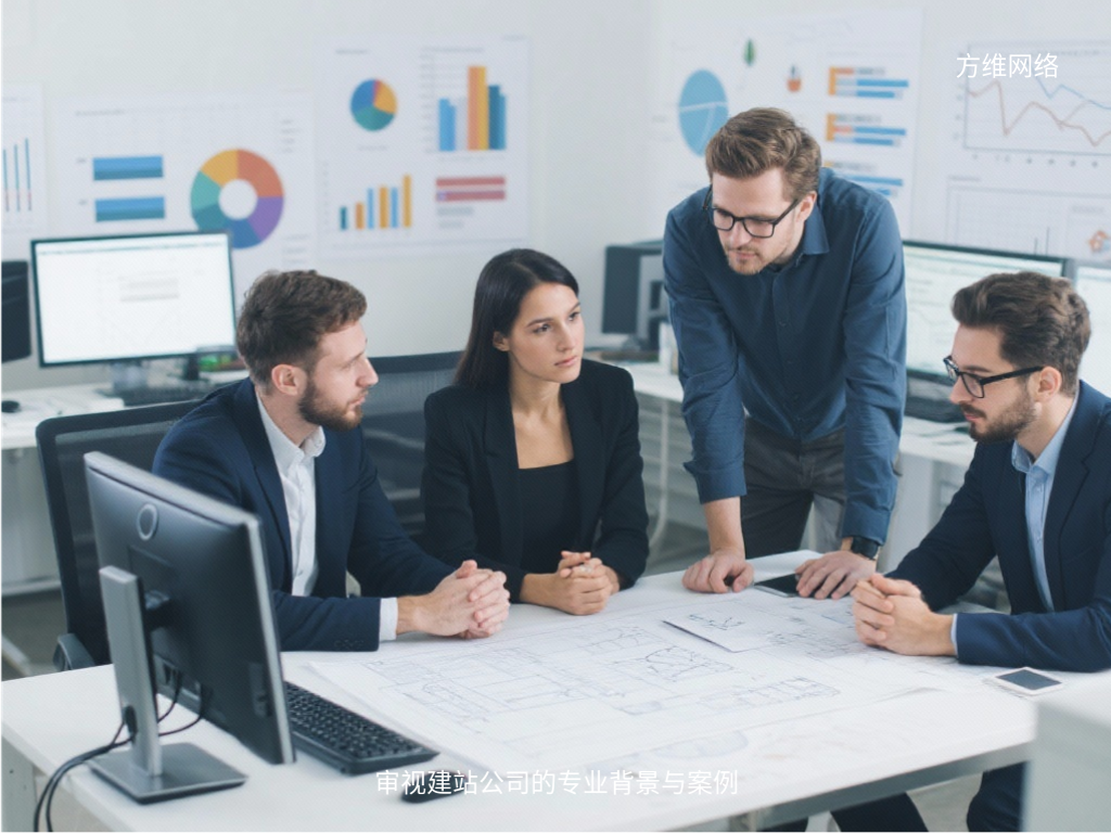 審視建站公司的專業(yè)背景與案例