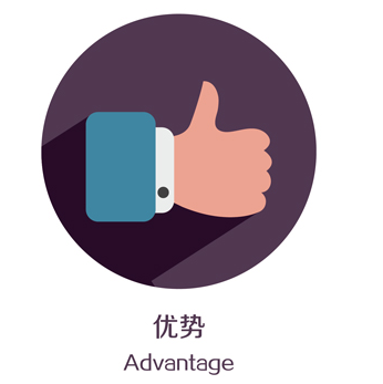 企業站定制優勢