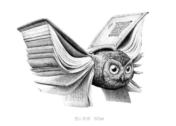 網站設計能力一