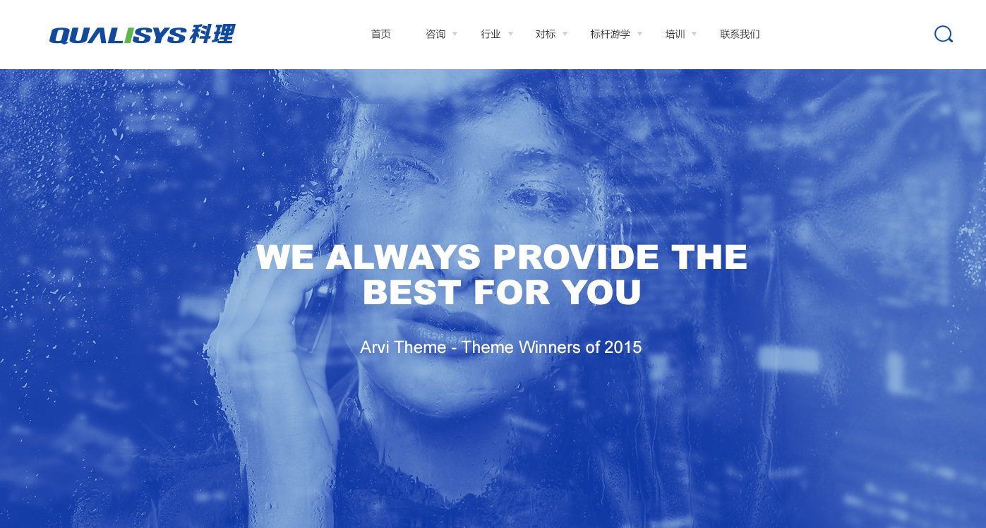 咨詢公司網(wǎng)站建設